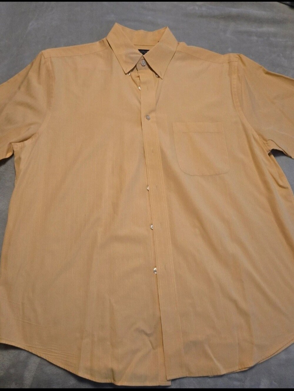 Large Short Sleeve Roundtree & Yorke button up
